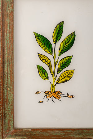 Medium Old Wood Frame with Botanical/Wildlife Painting - 718