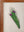 Medium Old Wood Frame with Botanical/Wildlife Painting - 720