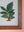 framed painting
