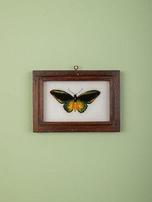 framed painting