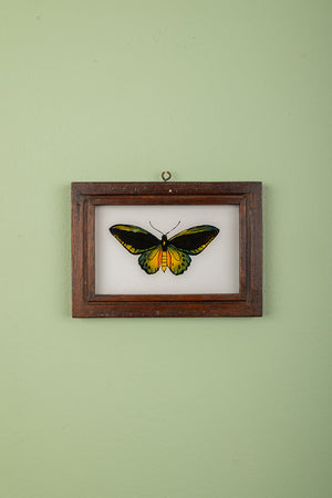 framed painting