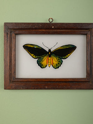 framed painting