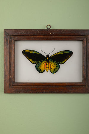 framed painting