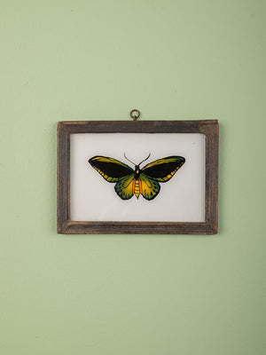 framed painting