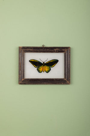framed painting