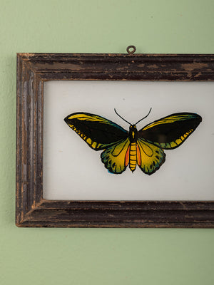 framed painting