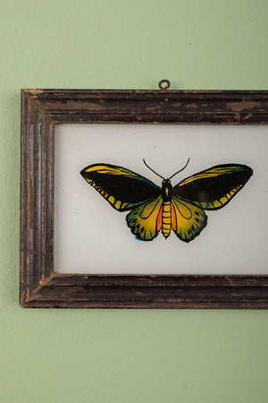 framed painting