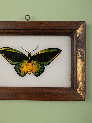 framed painting