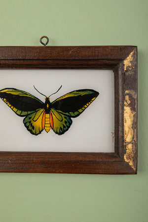 framed painting