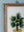 framed painting