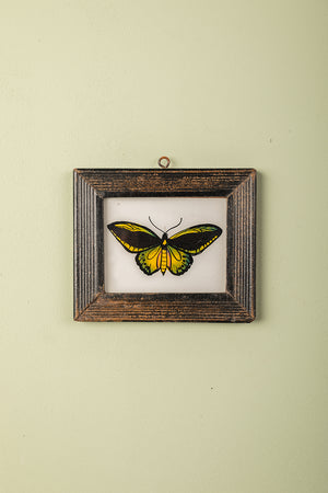 framed painting