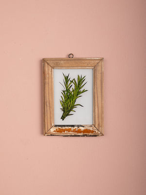 framed painting