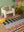 Palazzo Geometric 100% Recycled Extra Large Rug