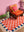 Lizzie Pink & Red Chequered Recycled Cotton Medium Rug