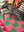 Folly Check & Scallop Recycled Cotton Rug