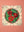 Seconds Romeo Roses Stained Glass Cushion Cover