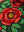 Seconds Romeo Roses Stained Glass Cushion Cover
