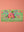 Seconds Sage Green Floral Embroidered Cushion Cover