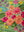 Seconds Sage Green Floral Embroidered Cushion Cover