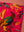 Seconds Coral Bird of Paradise Cotton Velvet Cushion Cover