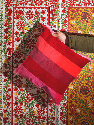Petal Striped Velvet Cushion Cover