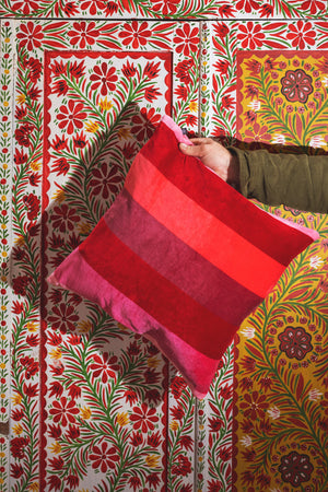 Petal Striped Velvet Cushion Cover