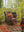 Black Bird of Paradise Velvet Chair
