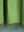 Green Recycled Cotton Block Colour Throw