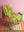Yellow & Green Recycled Cotton Striped Throw
