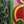 Swirl & Scroll Metal Fairground Sign - Centre (2 parts)