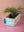 Hand Painted Vintage Brick Mould (Re-worked) - 687