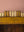 Vintage Yellow Wall Showcase