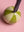 Lime & Lily Beachball Bauble