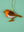 Robin Decoration (Virgin Plastic Free)