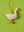 Goose Decoration (Virgin Plastic Free)
