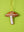 Mushroom Decoration (Virgin Plastic Free)