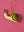 Snail Decoration (Virgin Plastic Free)