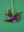 Swallow Decoration (Virgin Plastic Free)