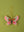 Pink Butterfly Decoration (Virgin Plastic Free)