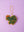Frog Prince Decoration (Virgin Plastic Free)