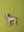 Dalmatian Decoration (Virgin Plastic Free)