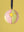 Swan Carousel Bauble