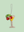 Martini Glass Decoration (Virgin Plastic Free)