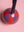Violet & Crimson Beachball Bauble