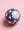 Scarlet, Cobalt & Blush Gingham Bauble