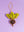 Beetroot Decoration (Virgin Plastic Free)