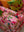 Milla Pink Bird of Paradise Velvet Sofa